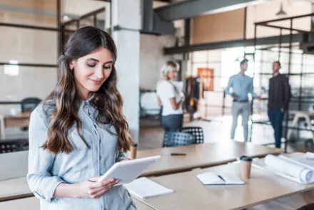 Szabad munkahelyek, állásajánlatok. Europa Workintense